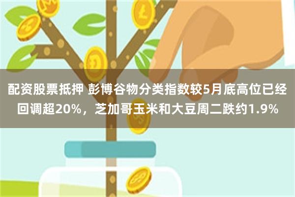 配资股票抵押 彭博谷物分类指数较5月底高位已经回调超20%，芝加哥玉米和大豆周二跌约1.9%