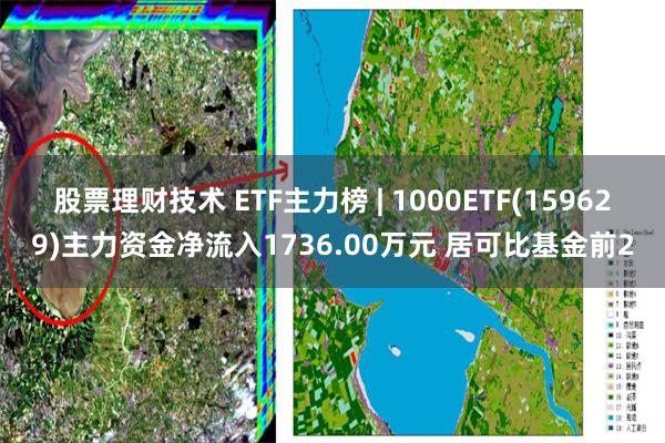 股票理财技术 ETF主力榜 | 1000ETF(159629)主力资金净流入1736.00万元 居可比基金前2