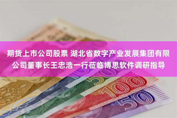 期货上市公司股票 湖北省数字产业发展集团有限公司董事长王忠浩一行莅临博思软件调研指导