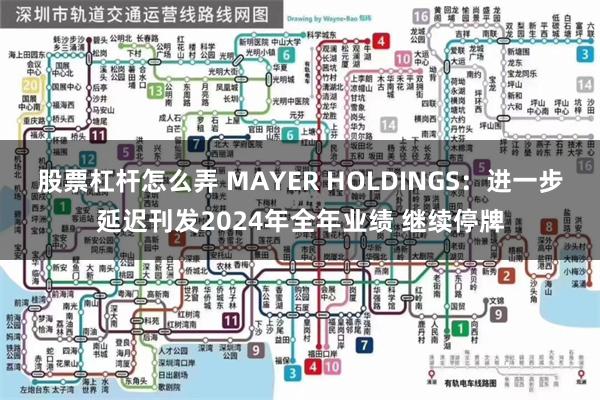 股票杠杆怎么弄 MAYER HOLDINGS：进一步延迟刊发2024年全年业绩 继续停牌