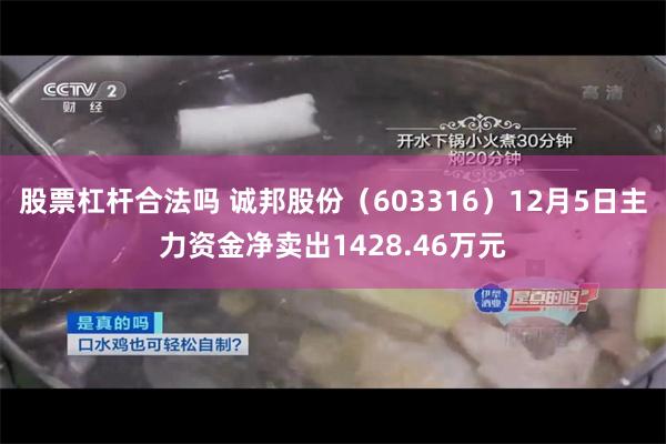 股票杠杆合法吗 诚邦股份（603316）12月5日主力资金净卖出1428.46万元