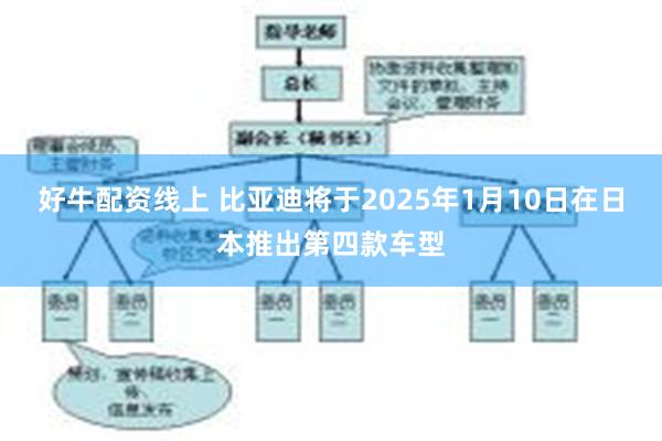 好牛配资线上 比亚迪将于2025年1月10日在日本推出第四款车型