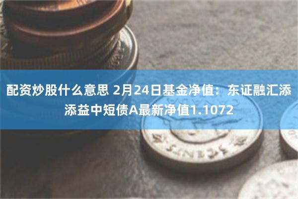 配资炒股什么意思 2月24日基金净值：东证融汇添添益中短债A最新净值1.1072