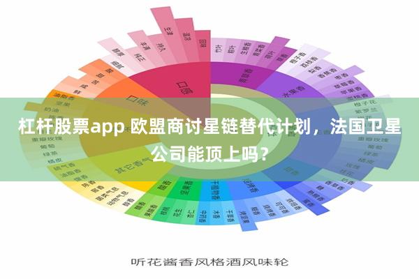 杠杆股票app 欧盟商讨星链替代计划，法国卫星公司能顶上吗？