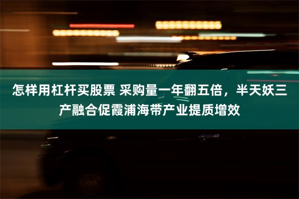 怎样用杠杆买股票 采购量一年翻五倍，半天妖三产融合促霞浦海带产业提质增效